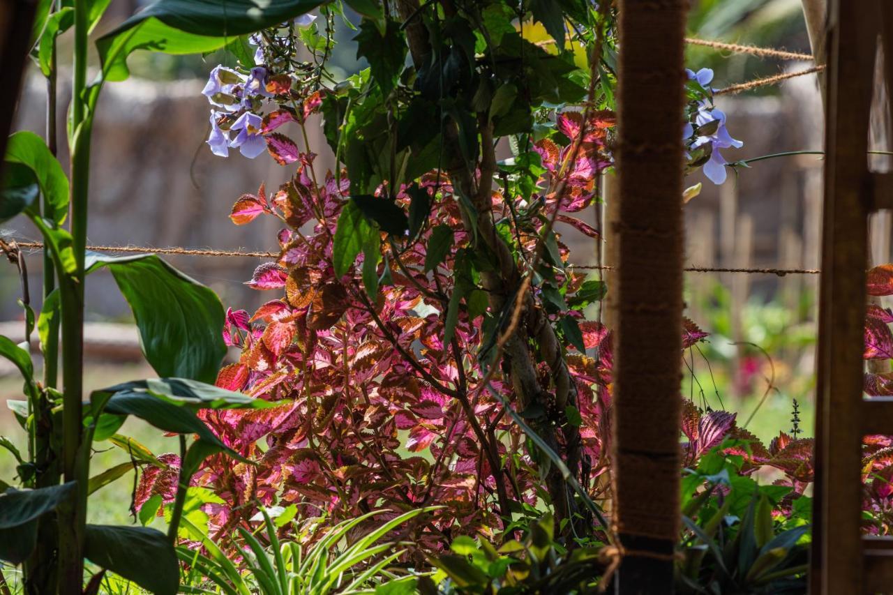 Radhika Eco Resort أرامبول المظهر الخارجي الصورة